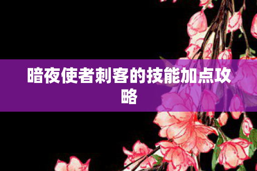 暗夜使者刺客的技能加点攻略图片