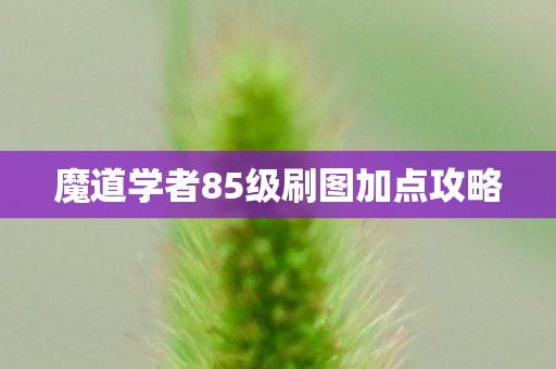 魔道学者85级刷图加点攻略图片