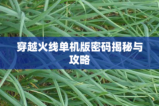 穿越火线单机版密码揭秘与攻略图片