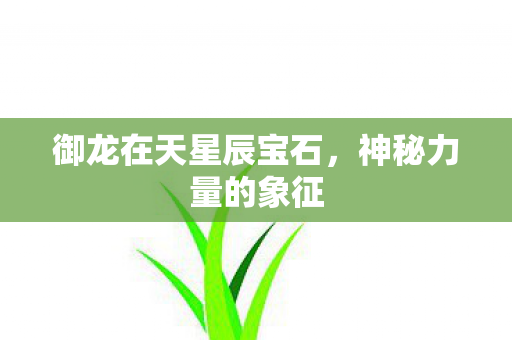 御龙在天星辰宝石图片