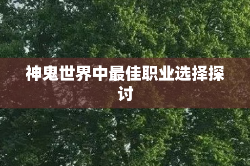神鬼世界中最佳职业选择探讨图片
