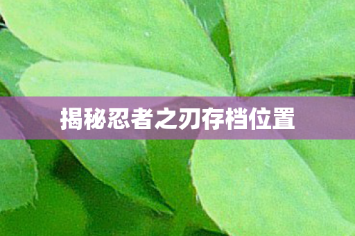 揭秘忍者之刃存档位置图片