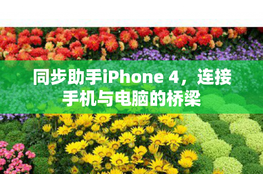 同步助手iPhone 4图片
