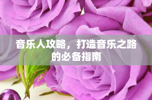 打造音乐之路的必备指南图片