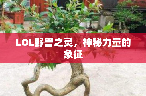 LOL野兽之灵图片