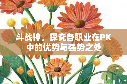 探究各职业在PK中的优势与强势之处图片