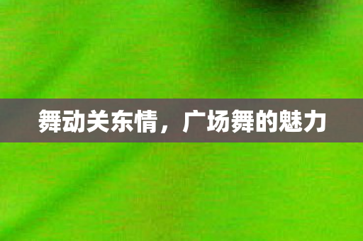 广场舞的魅力图片