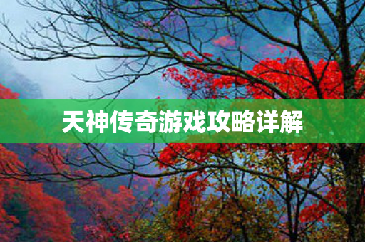 天神传奇游戏攻略详解图片