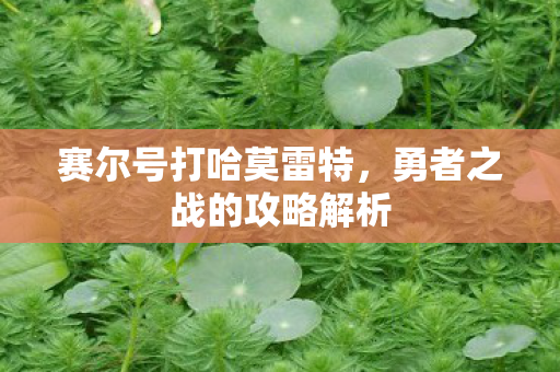 勇者之战的攻略解析图片
