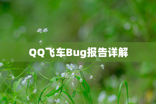QQ飞车Bug报告详解图片