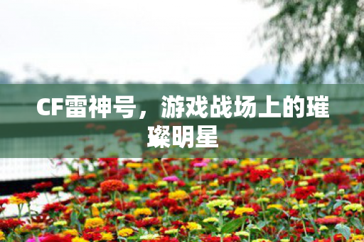 游戏战场上的璀璨明星图片