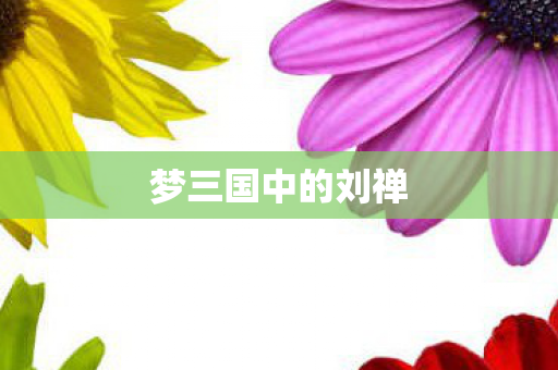 梦三国中的刘禅图片