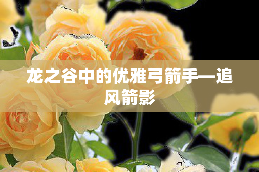 龙之谷中的优雅弓箭手图片