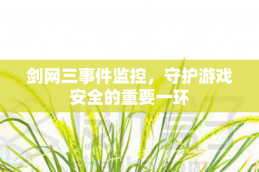 守护游戏安全的重要一环图片