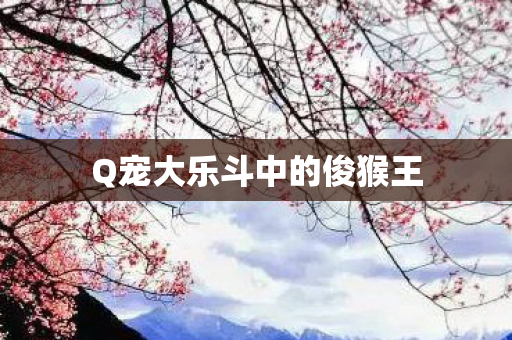 Q宠大乐斗中的俊猴王图片