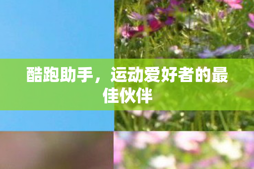 运动爱好者的最佳伙伴图片