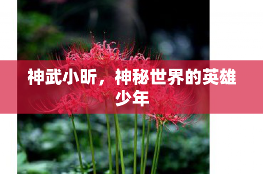 神秘世界的英雄少年图片