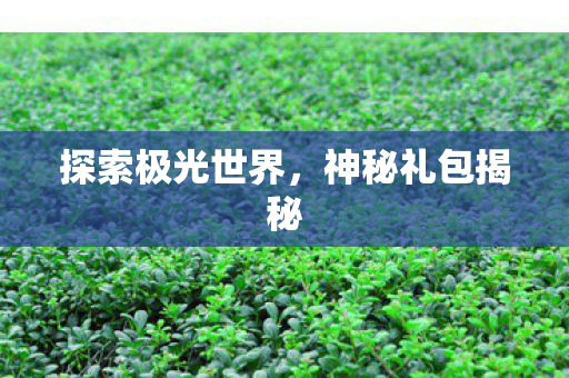 探索极光世界图片