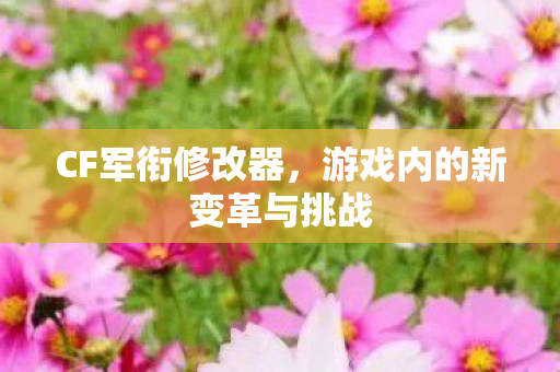 游戏内的新变革与挑战图片