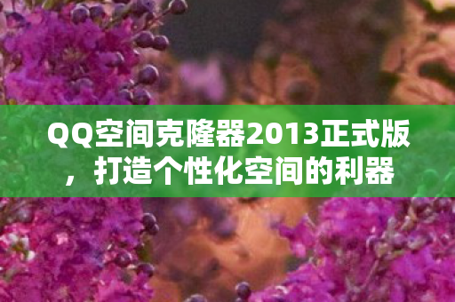 QQ空间克隆器2013正式版图片
