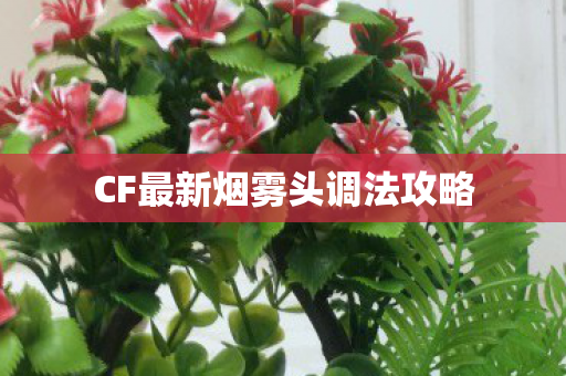 CF最新烟雾头调法攻略图片