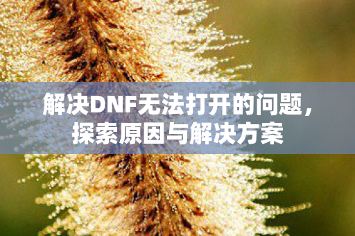 解决DNF无法打开的问题图片