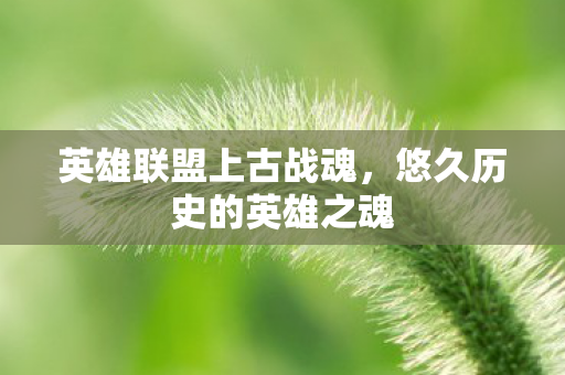 悠久历史的英雄之魂图片