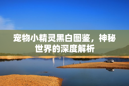 宠物小精灵黑白图鉴图片