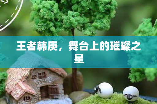 舞台上的璀璨之星图片