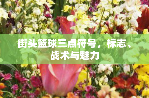 街头篮球三点符号图片