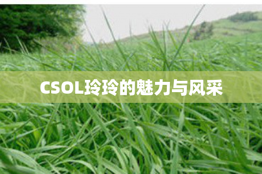 CSOL玲玲的魅力与风采图片