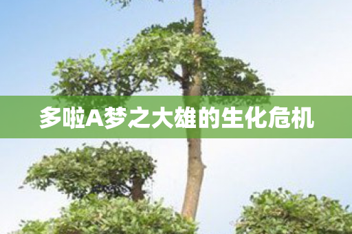 多啦A梦之大雄的生化危机图片