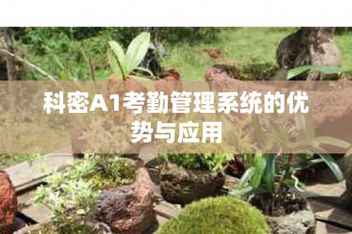 科密A1考勤管理系统的优势与应用图片