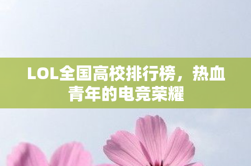 LOL全国高校排行榜图片