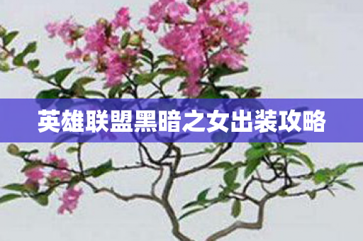 英雄联盟黑暗之女出装攻略图片