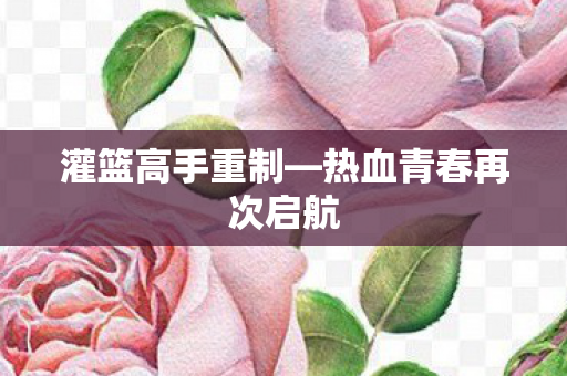 热血青春再次启航图片