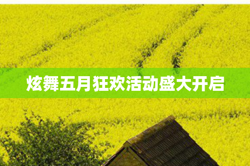炫舞五月狂欢活动盛大开启图片