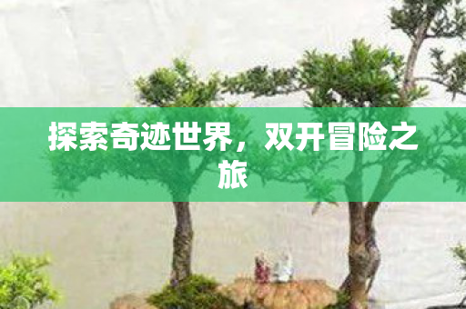 探索奇迹世界图片