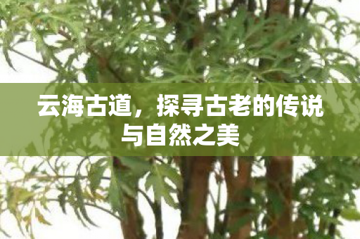 探寻古老的传说与自然之美图片
