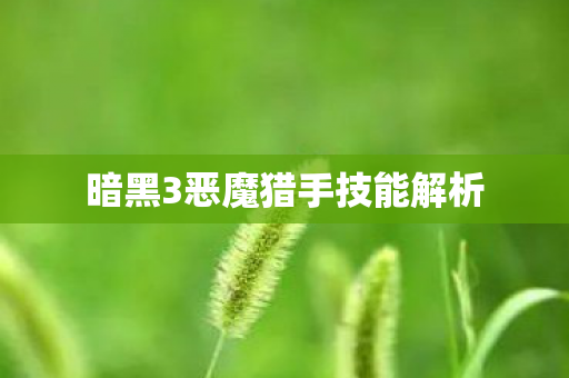 暗黑3恶魔猎手技能解析图片