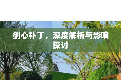 深度解析与影响探讨图片