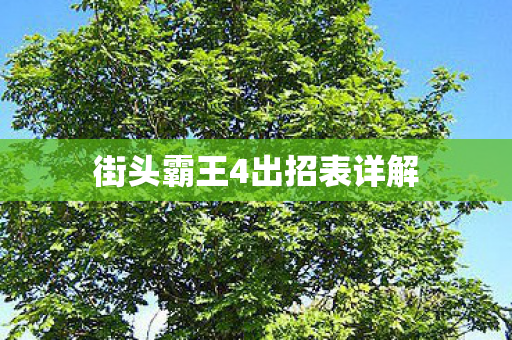 街头霸王4出招表详解图片