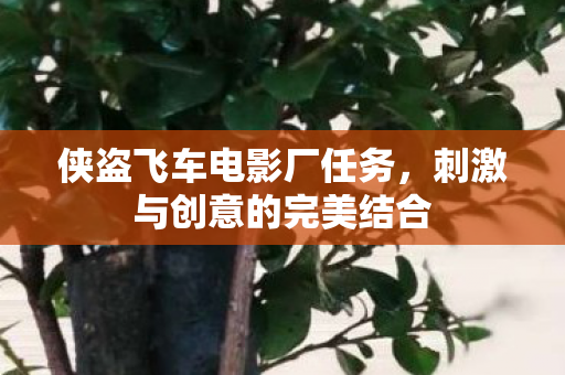 刺激与创意的完美结合图片