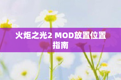 火炬之光2 MOD放置位置指南图片
