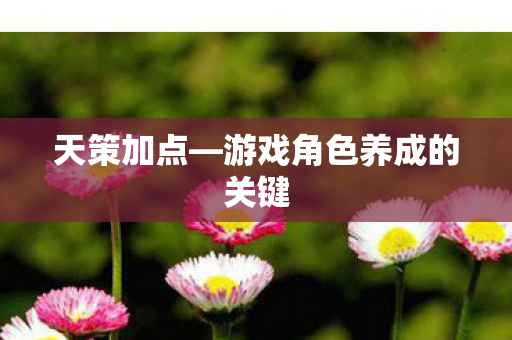 游戏角色养成的关键图片