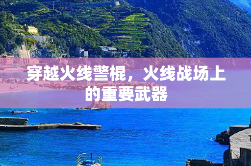 火线战场上的重要武器图片
