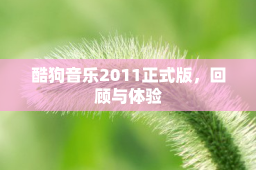酷狗音乐2011正式版图片
