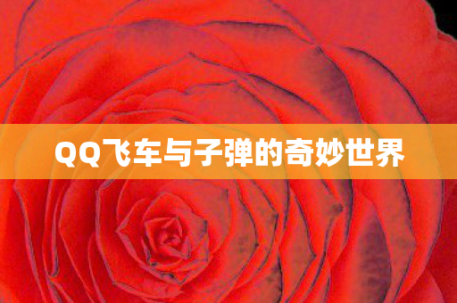 QQ飞车与子弹的奇妙世界图片