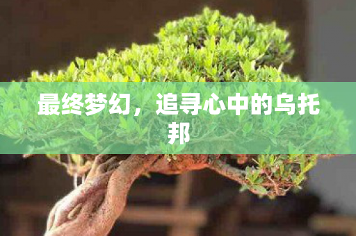 追寻心中的乌托邦图片