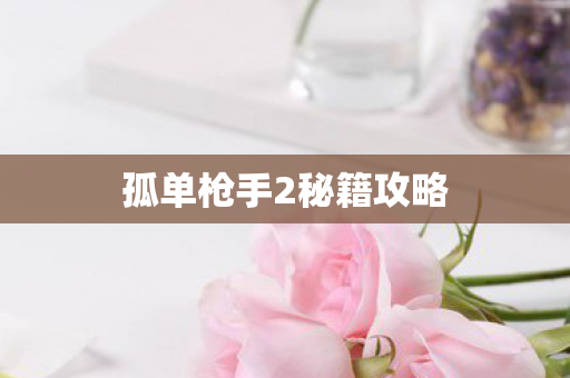 孤单枪手2秘籍攻略图片